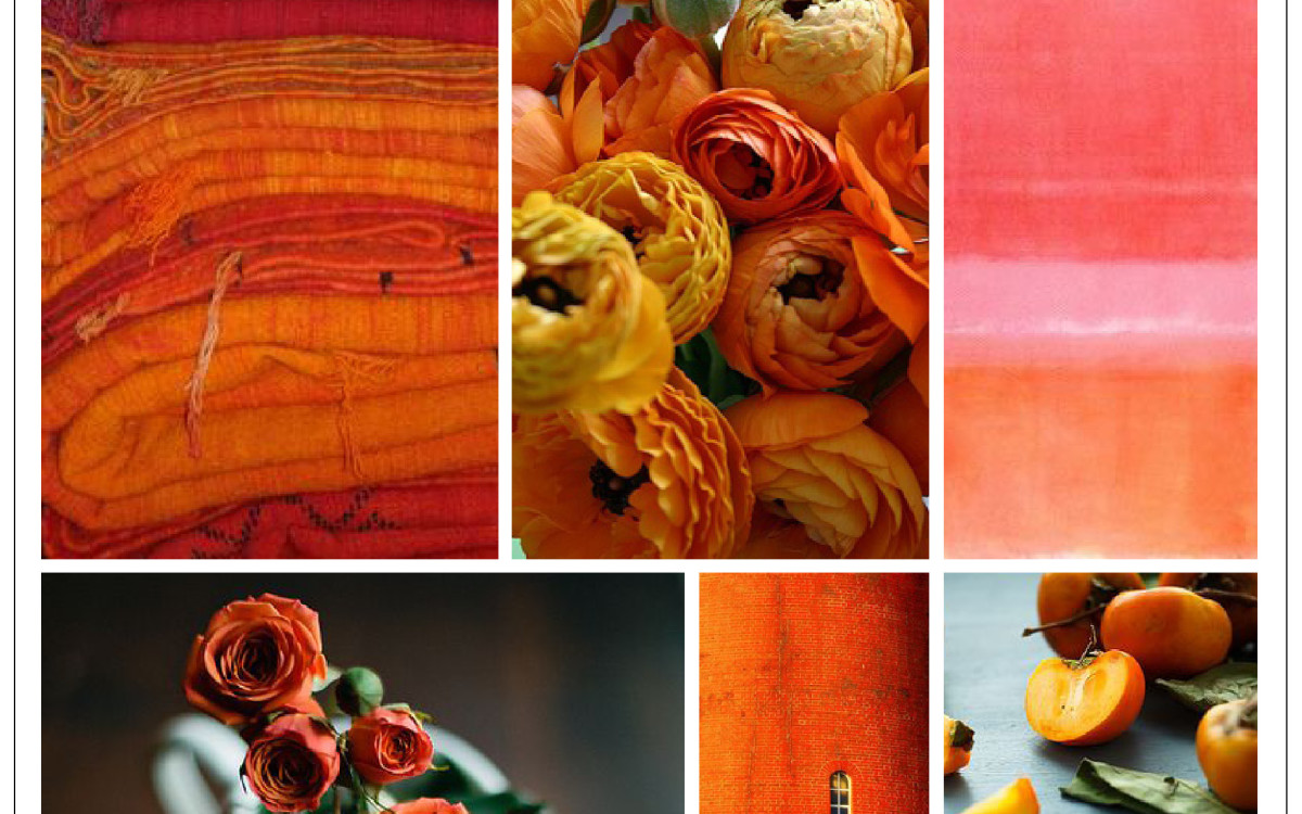 Fall Colors Harmonizing Homes One Of My Favorite Go To Colors Is Orange A Y Hue Can Add An Unexpected Sophistication Your E And Wardrobe Now That We Are Closing In On